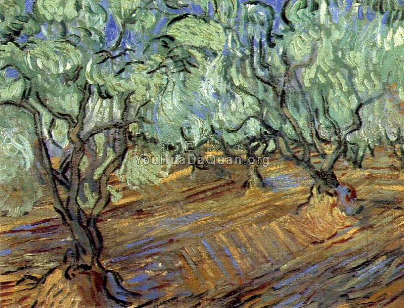 橄榄园 - 文森特·威廉·梵高